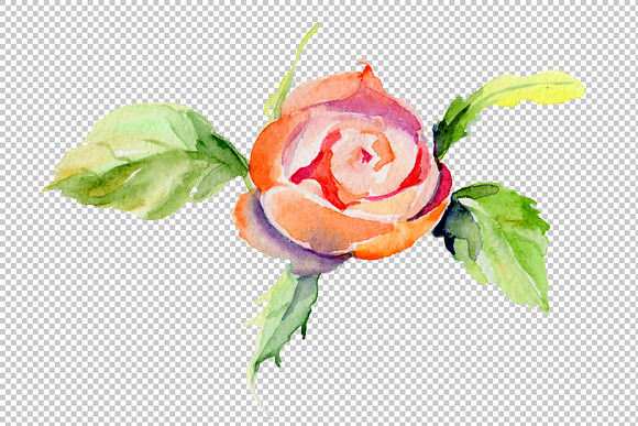 Light red rose PNG watercolor flower in Illustrations - product preview 4