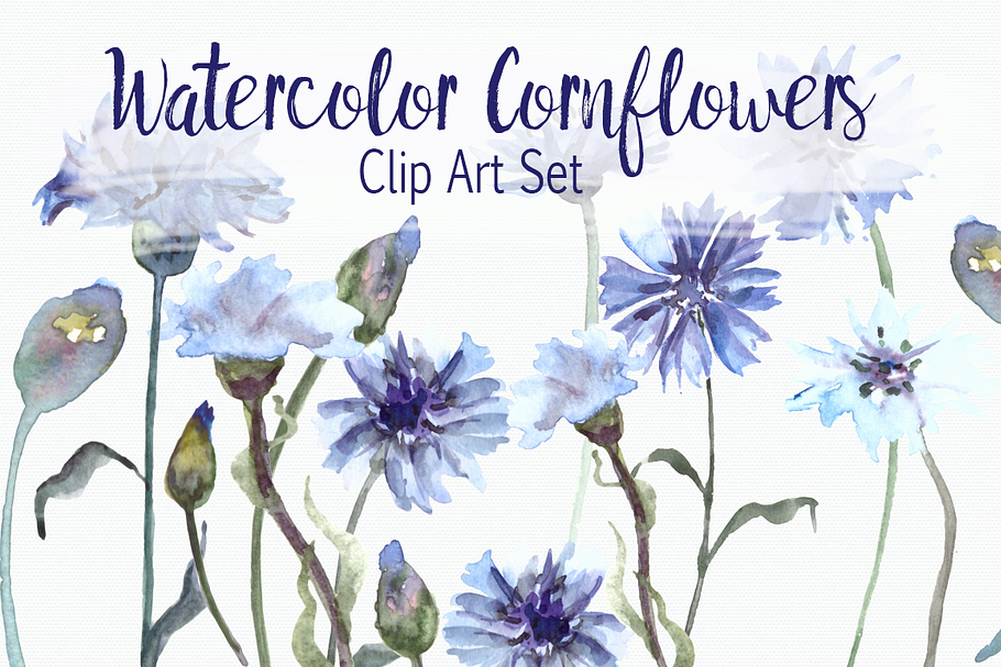 Watercolor Cornflower Clip Art Set in Objects - product preview 8