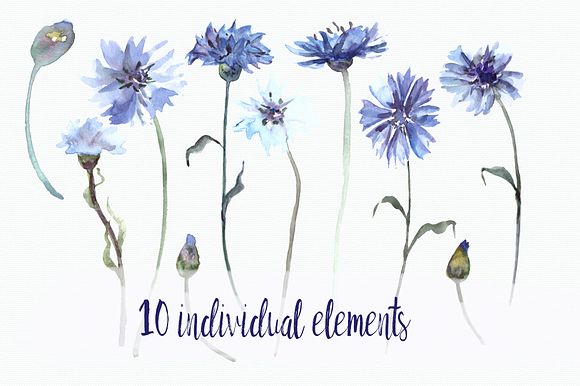 Watercolor Cornflower Clip Art Set in Objects - product preview 1