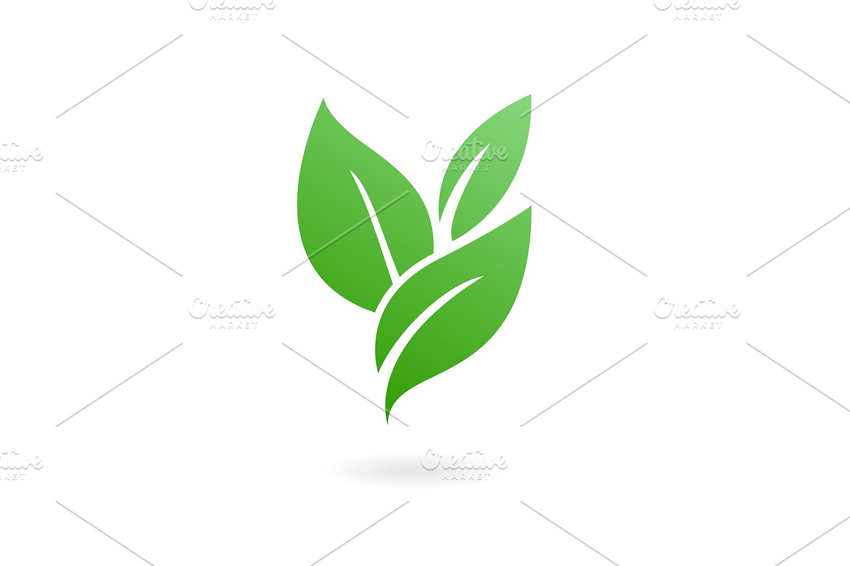 Flat leaves icons. Vector illustration. in Illustrations - product preview 8