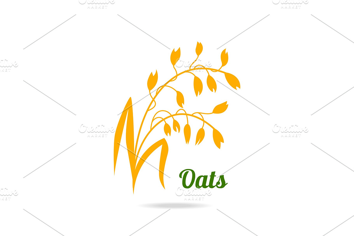 Oat ears. in Illustrations - product preview 8