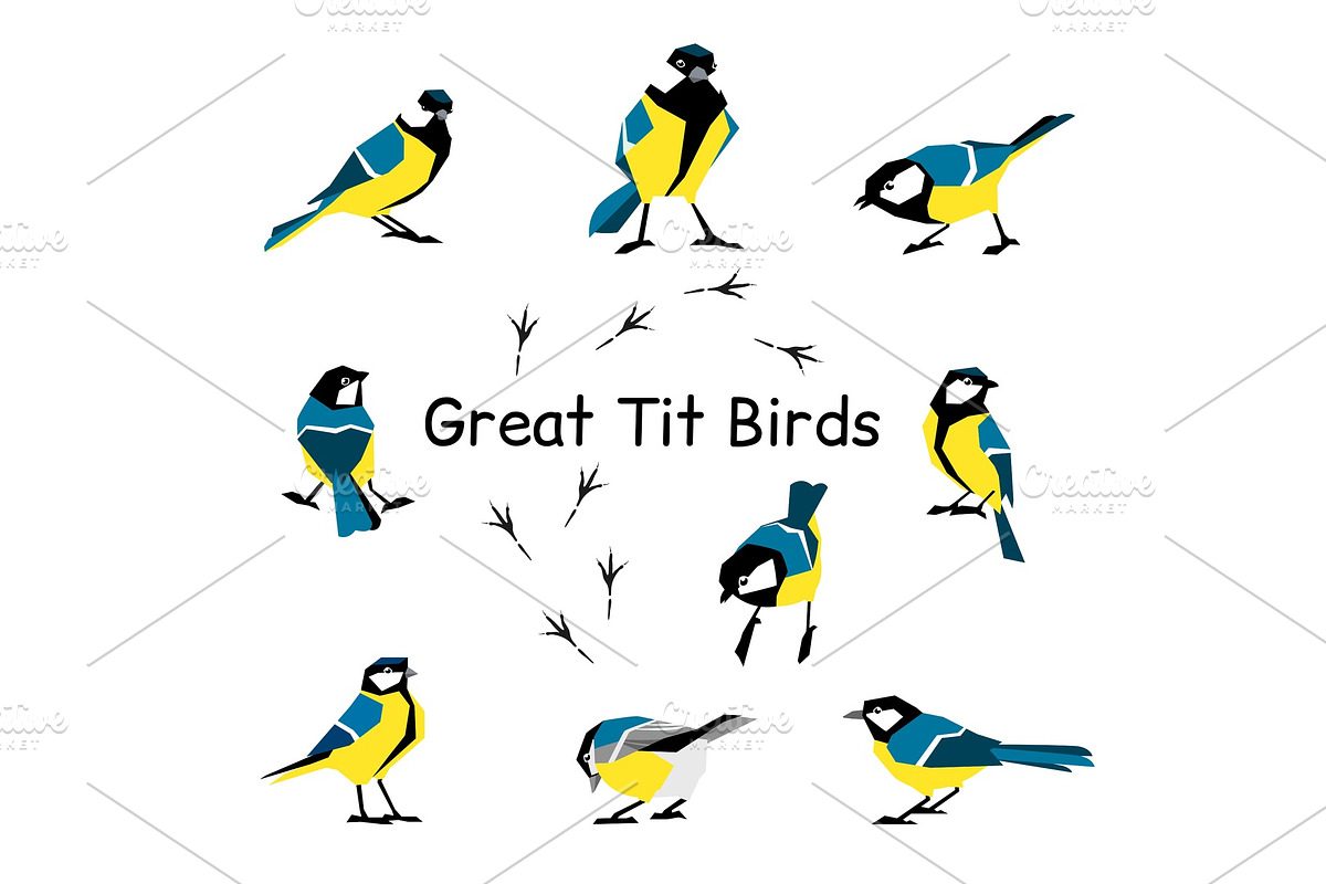 Great tit. Feathered in a flat style isolated on a white background. in Illustrations - product preview 8