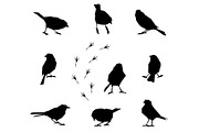 Silhouettes of winter birds.