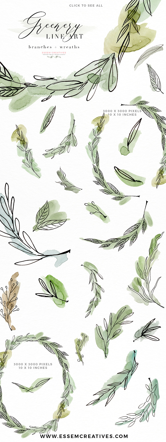 Watercolor Greenery Line Art Clipart in Illustrations - product preview 4
