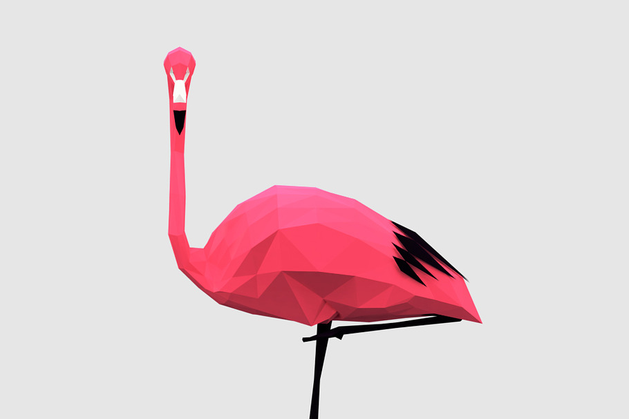 Flamingos in Animals - product preview 8