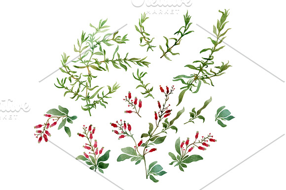 Branches in Illustrations - product preview 1