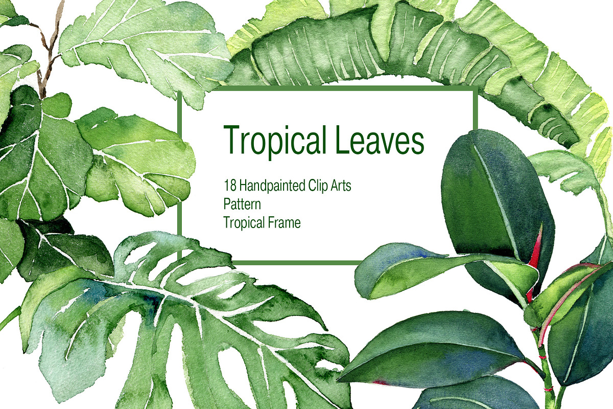 Tropical Leaves Watercolor Clipart in Illustrations - product preview 8