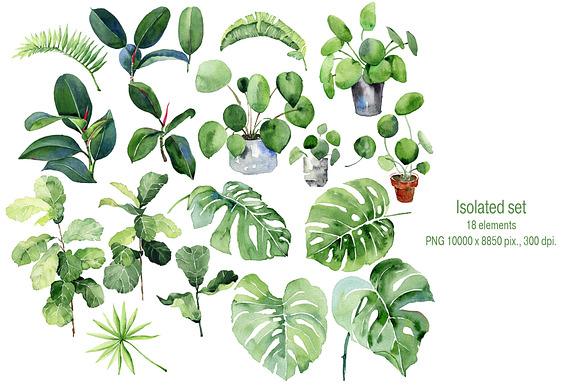 Tropical Leaves Watercolor Clipart in Illustrations - product preview 1