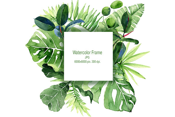 Tropical Leaves Watercolor Clipart in Illustrations - product preview 2