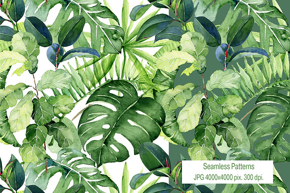 Tropical Leaves Watercolor Clipart in Illustrations - product preview 3