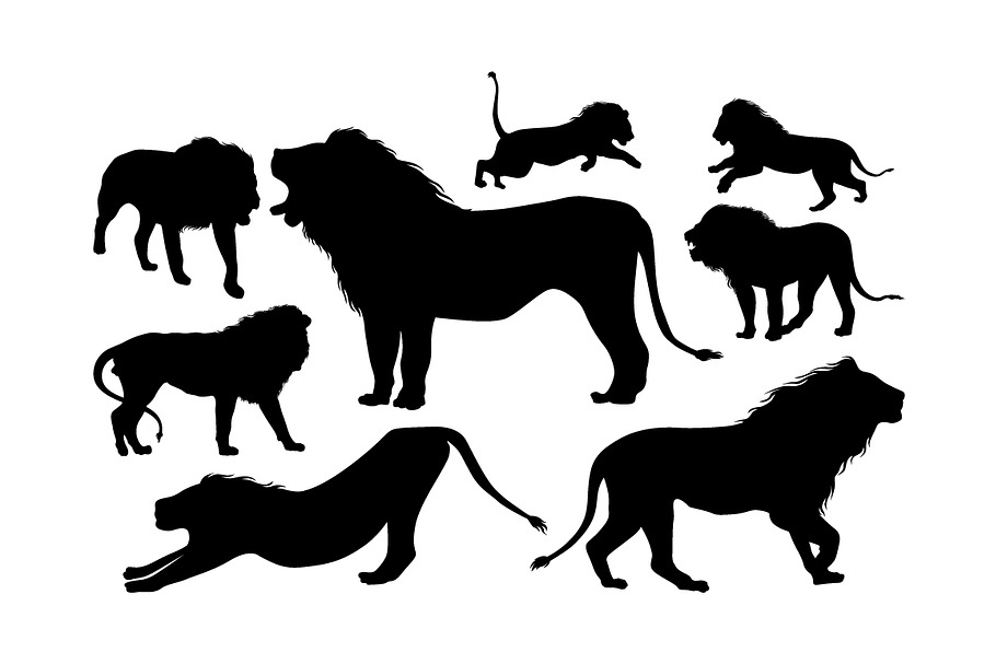 set of lion silhouette collection in Illustrations - product preview 8
