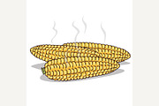 Isolate boiled corn ears with steam