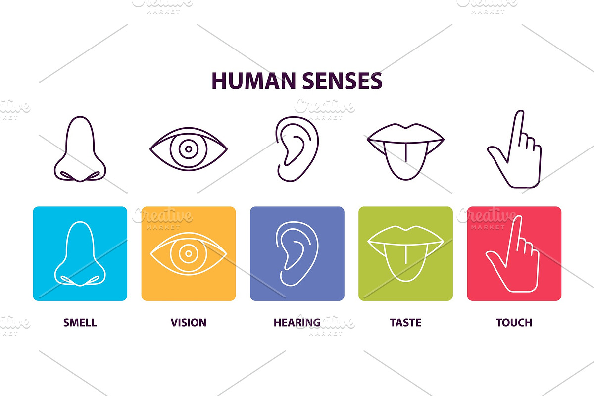 Human Senses Informative Poster with Body Parts in Illustrations - product preview 8