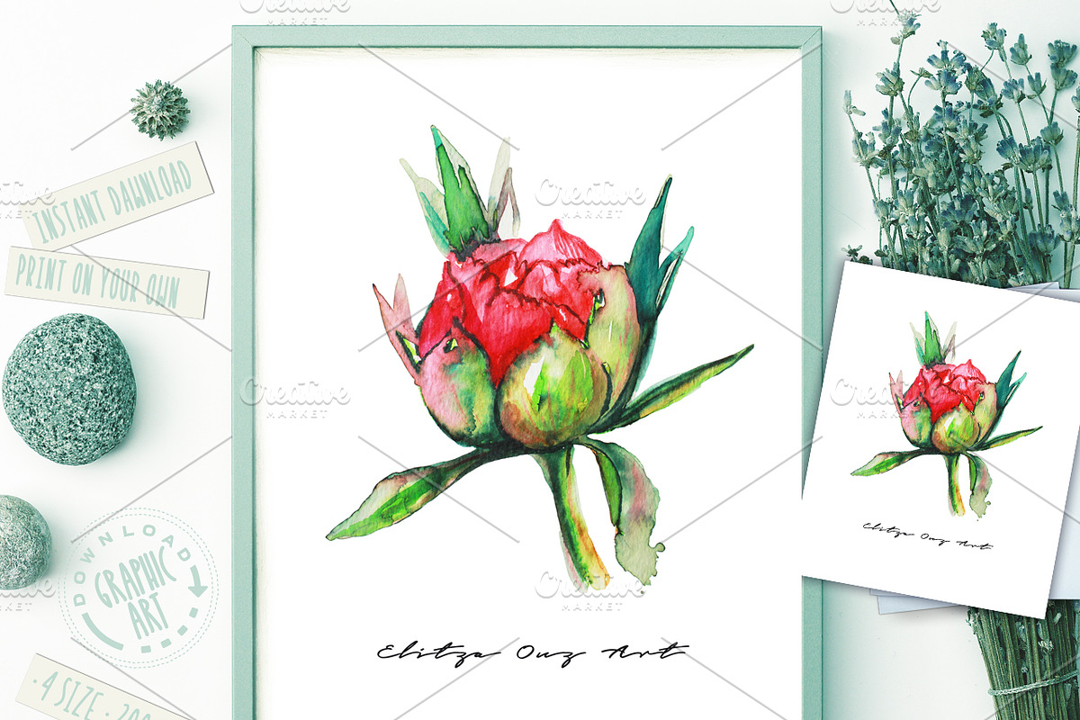 Peony Watercolor Prints in Illustrations - product preview 8