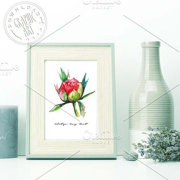 Peony Watercolor Prints in Illustrations - product preview 1