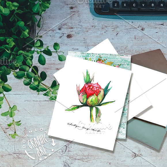 Peony Watercolor Prints in Illustrations - product preview 2