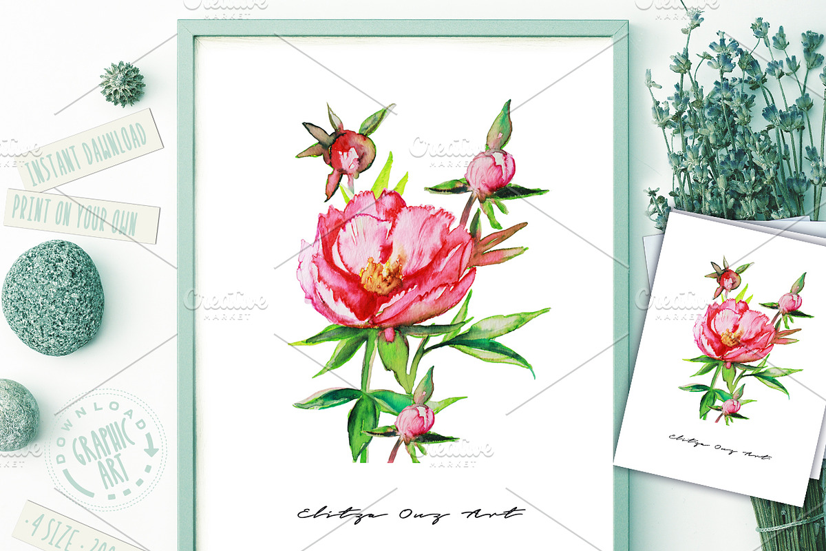 Rose Peony Watercolor Prints in Illustrations - product preview 8
