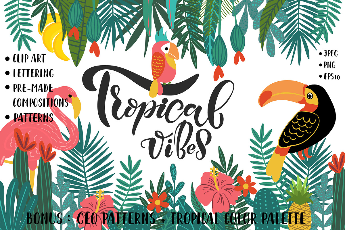 Tropical Clip Art & Patterns Set in Illustrations - product preview 8