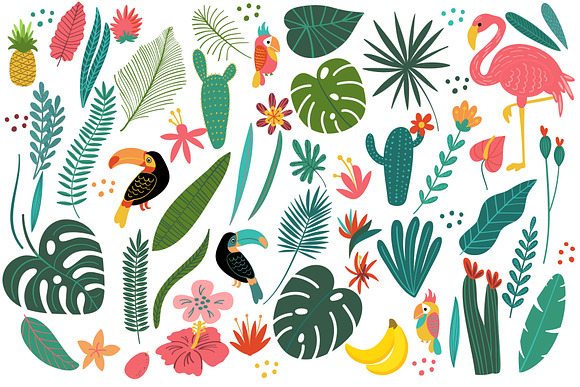 Tropical Clip Art & Patterns Set in Illustrations - product preview 2