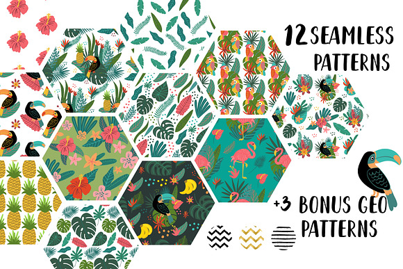 Tropical Clip Art & Patterns Set in Illustrations - product preview 3