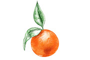 Hand drawn orange.
