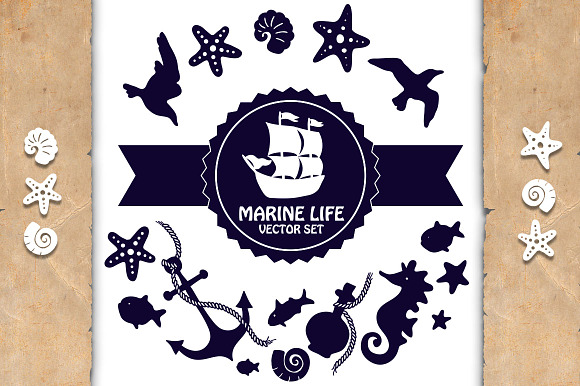 Marine life in Patterns - product preview 2