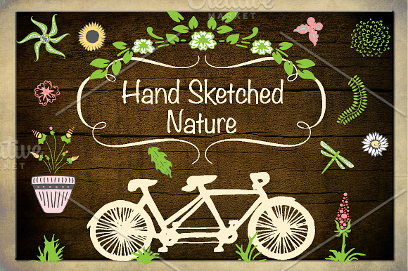Hand Sketched Nature Illustrations in Illustrations - product preview 4