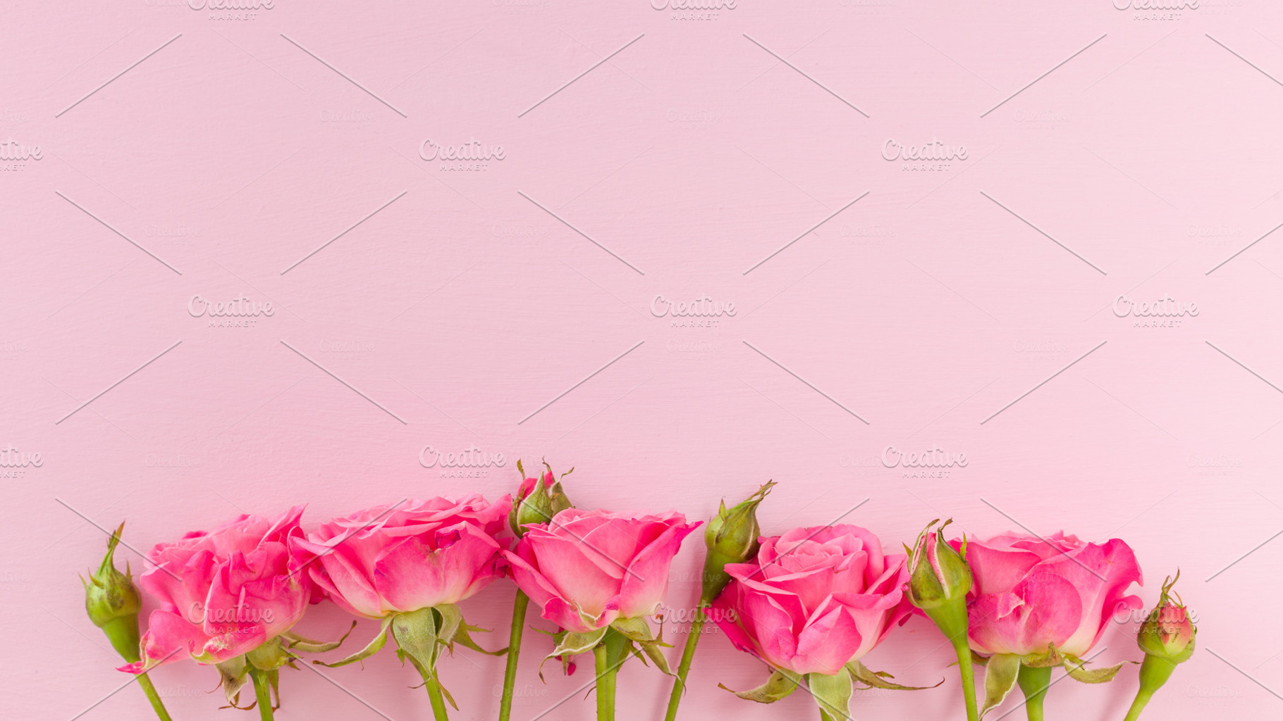 Roses On Pink Pastel Background High Quality Arts