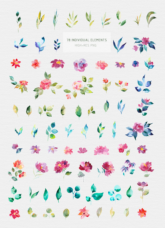 My Garden Flower Graphic Set in Illustrations - product preview 1