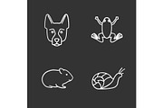 Pets chalk icons set