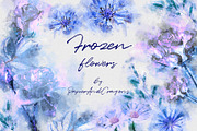 Frozen Watercolor Flowers