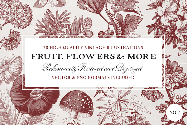 70 Fruit & Flower Illustrations No.2