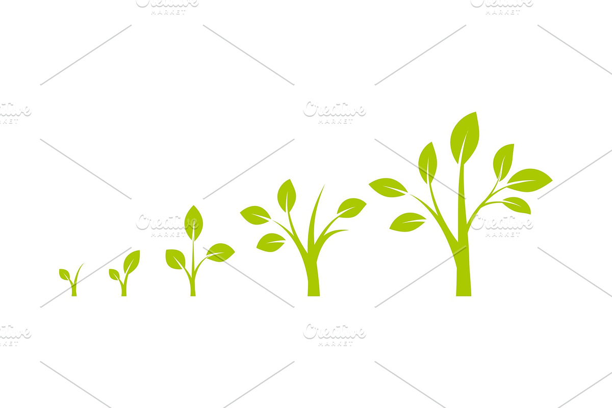 Infographic of planting tree. in Illustrations - product preview 8