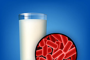 Glass of milk with lactobacilli