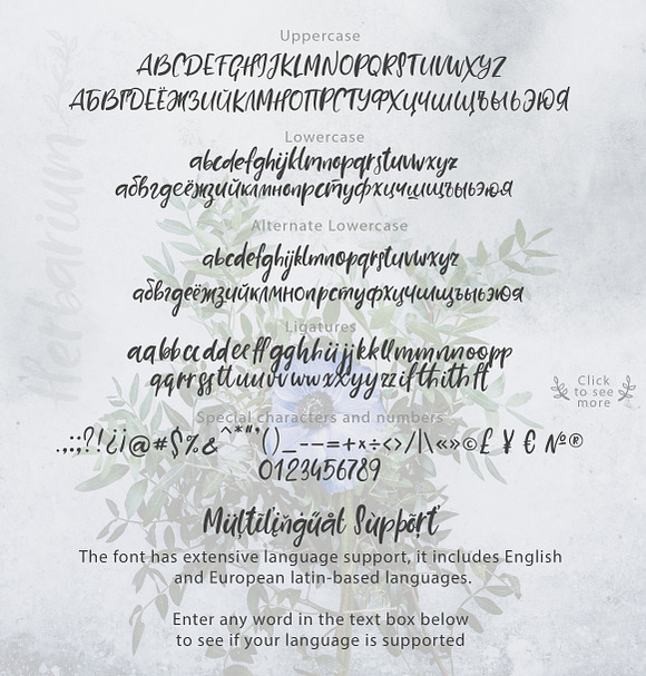 Herbarium font + EXTRAS in Script Fonts - product preview 5