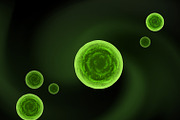 Sphere bacteria cells