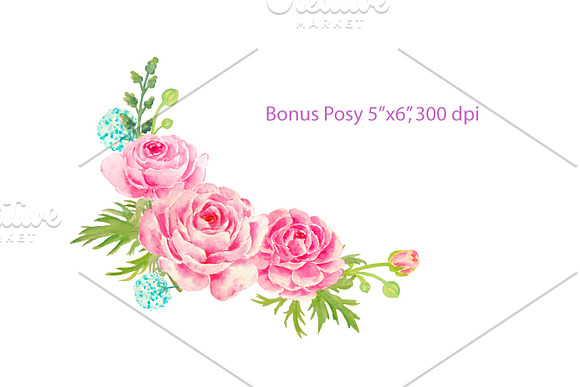Wedding Clipart Pink Ranunculus in Illustrations - product preview 2