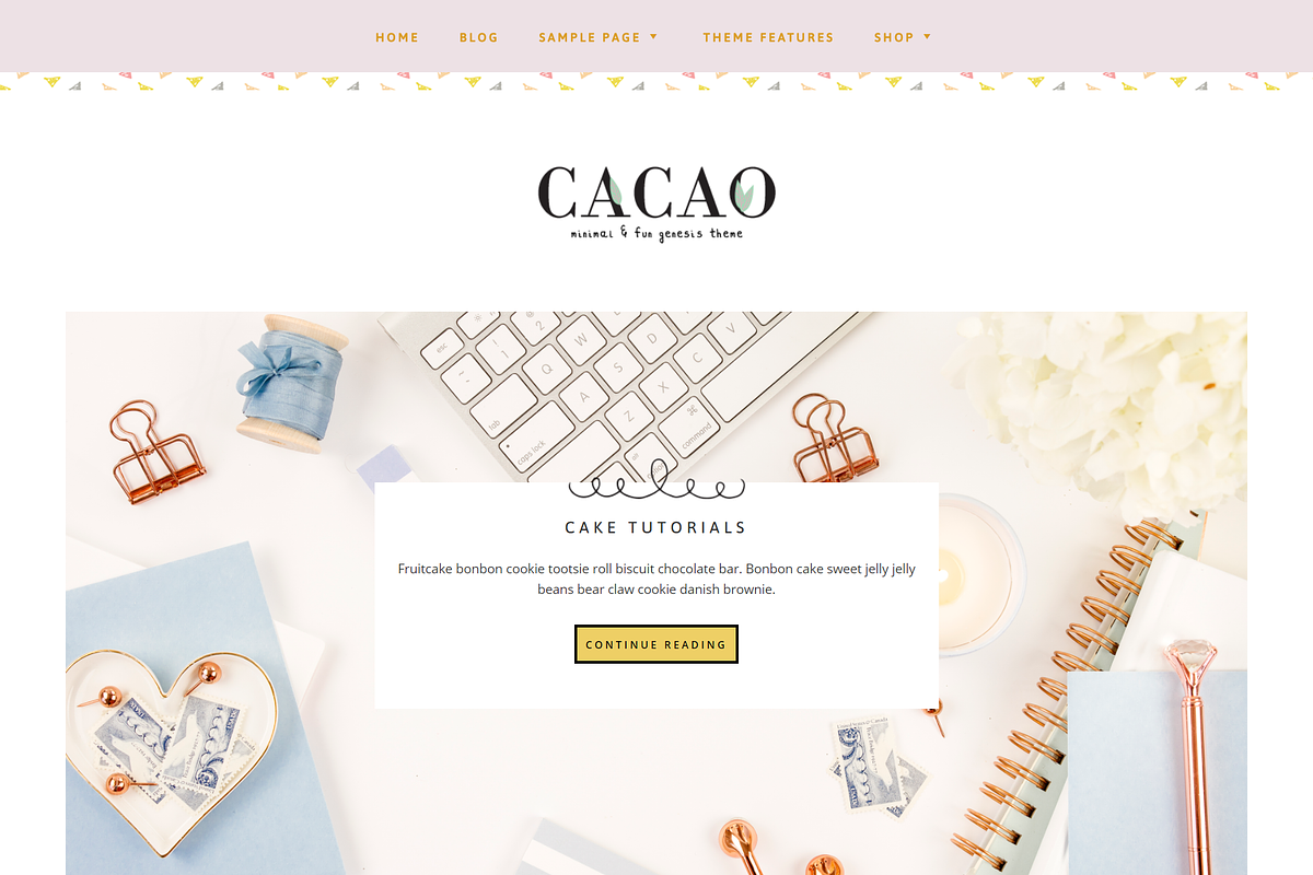 Cacao Minimal WP Genesis Theme in WordPress Blog Themes - product preview 8
