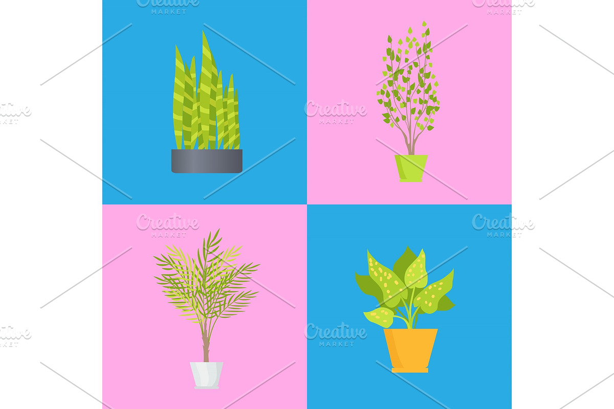 Interior Decoration Plants Set Vector Illustration in Objects - product preview 8