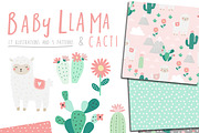 Baby Llama and Cacti