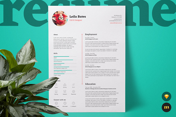 Resume/CV and Cover Letter in Letter Templates - product preview 1