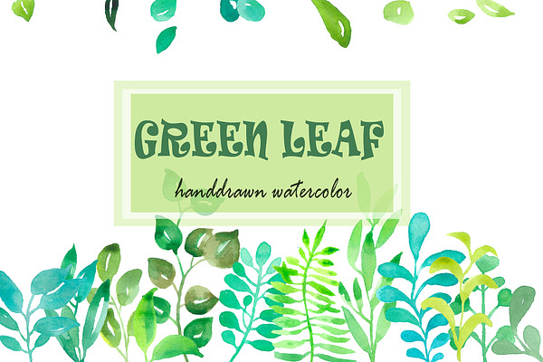 Watercolor Green Leaf