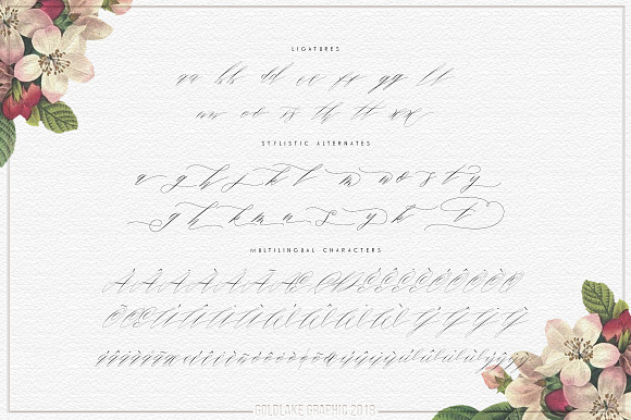 GL Roosy Script in Script Fonts - product preview 9