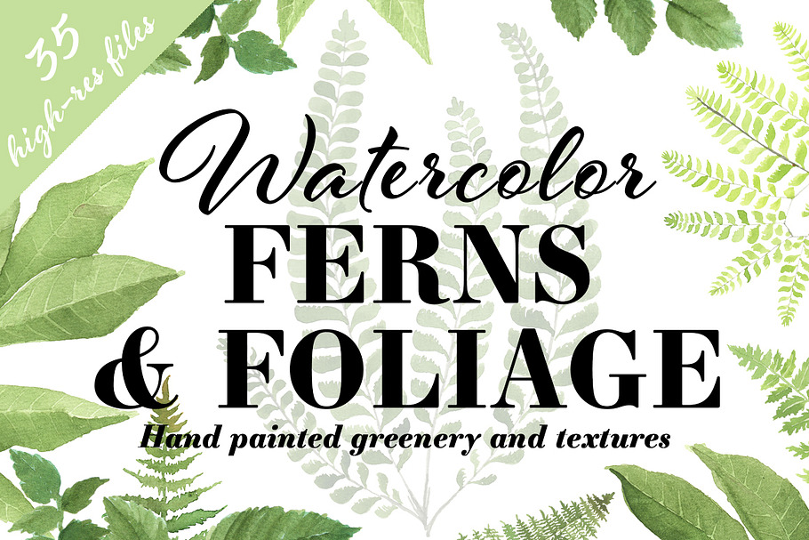Ferns & Foliage
