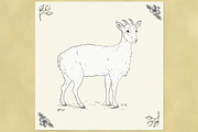 Cute Goat Illustration