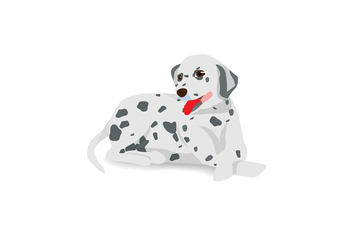 Dalmatian lying on floor with shadow in Illustrations - product preview 8
