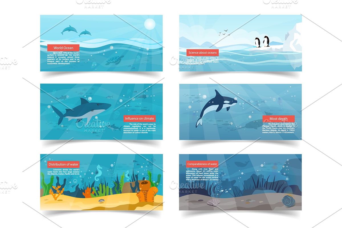 Ocean Illustrations with Scientific Information in Illustrations - product preview 8
