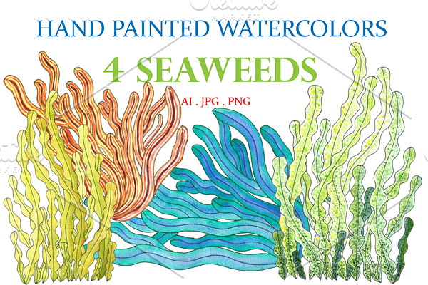 Hand Painted Watercolors 4 Seaweeds