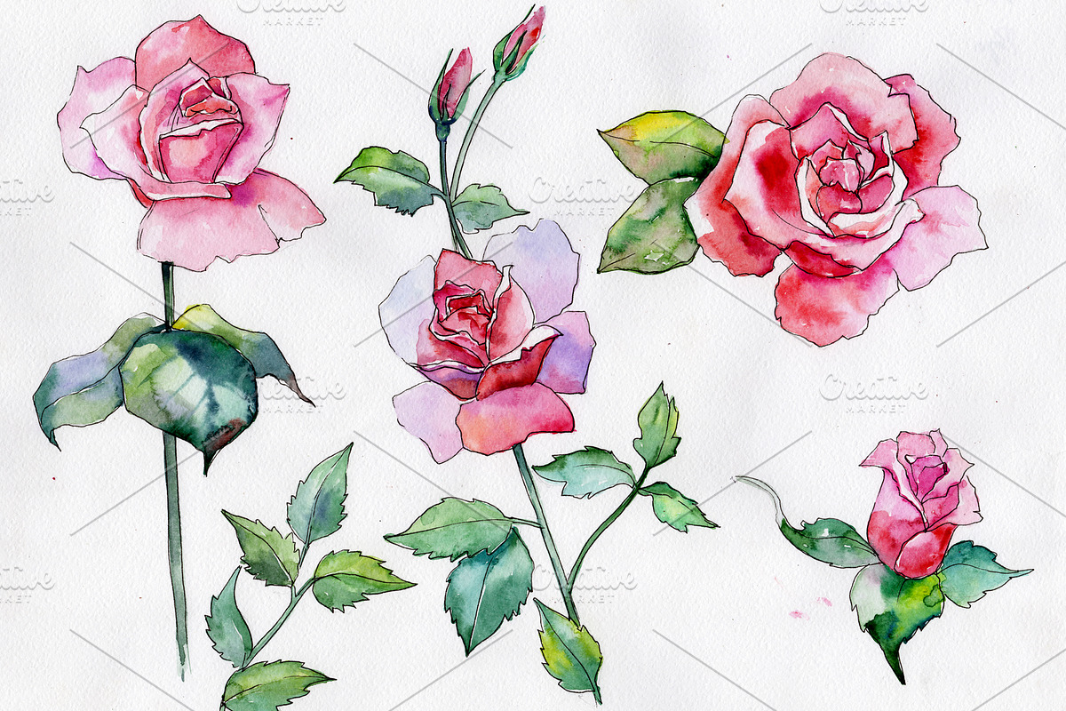 Wildflower pink rose PNG watercolor  in Illustrations - product preview 8