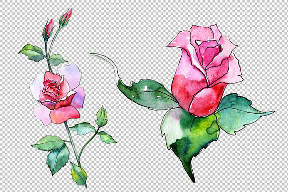 Wildflower pink rose PNG watercolor  in Illustrations - product preview 2